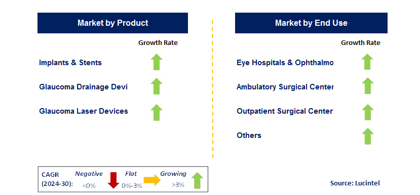 Glaucoma Surgery Device by Segment